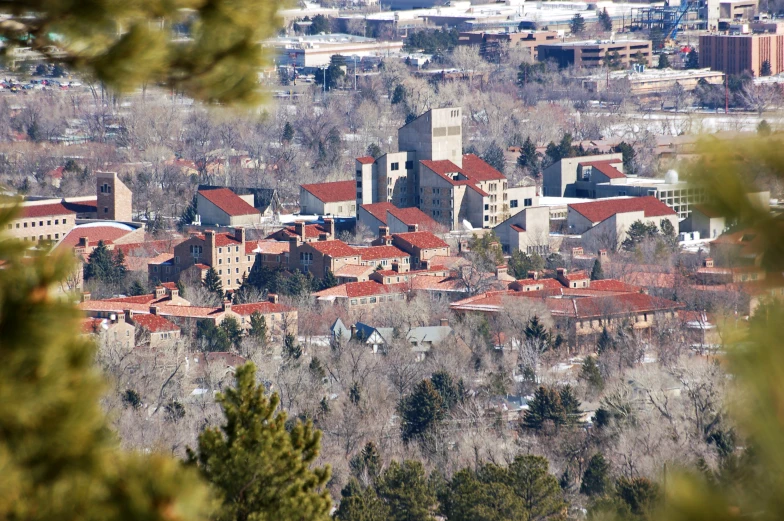 a town view is seen through the leaves of a tree