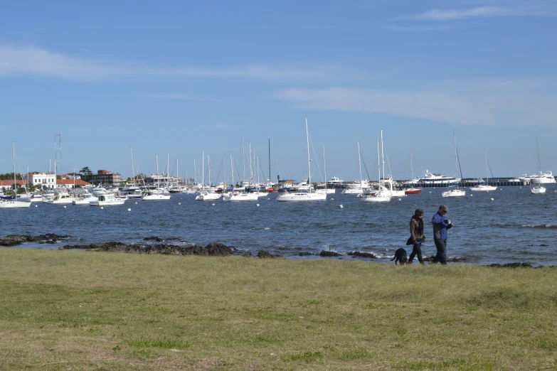 two people are walking along the grass near the water