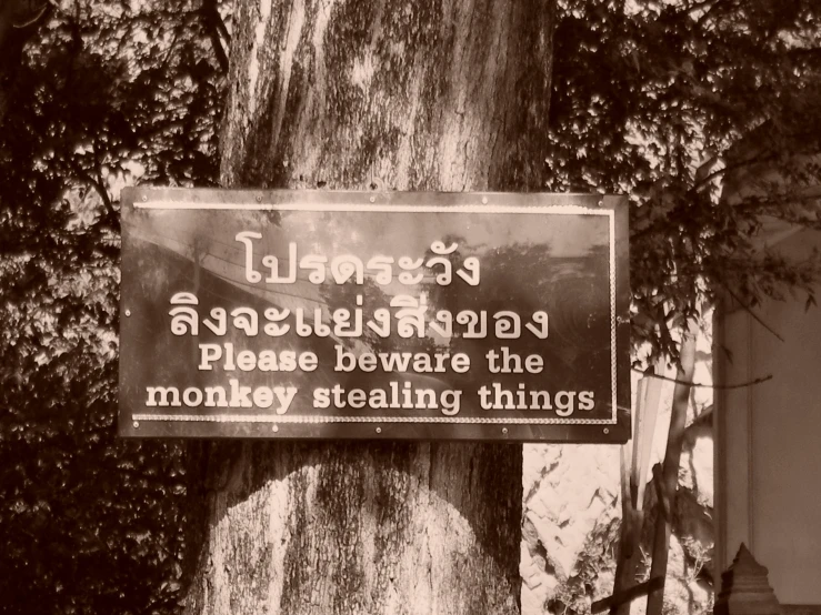 a sign in front of a tree outside