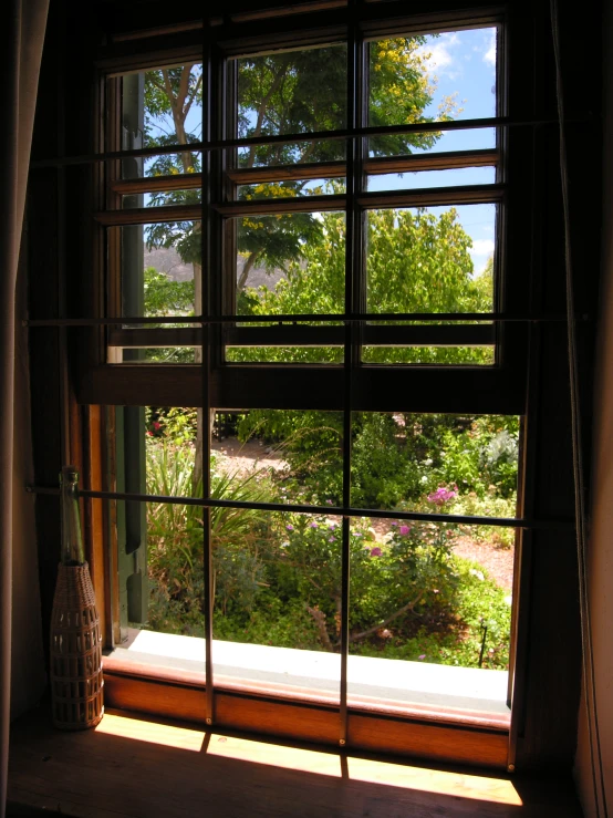 an open window showing trees and shrubs in the distance