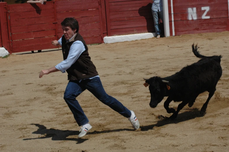 a man chasing a cow in a field