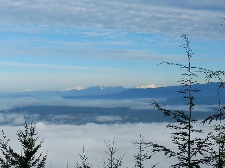 a landscape with mountains and a very thin forest