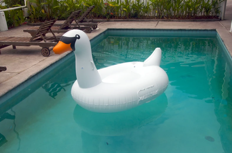 an inflatable swan floats on the water at a swimming pool