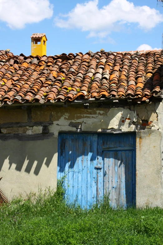 a blue and white door and brown roof in the grass