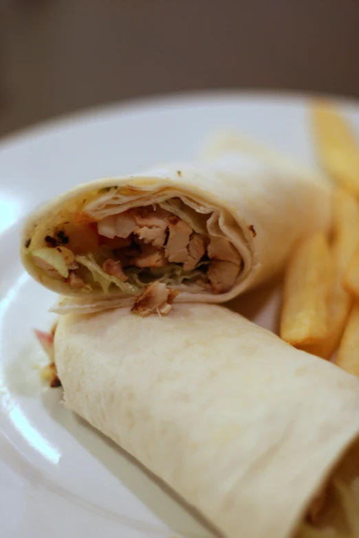 a wrap with meat and vegetables on it next to a pile of french fries