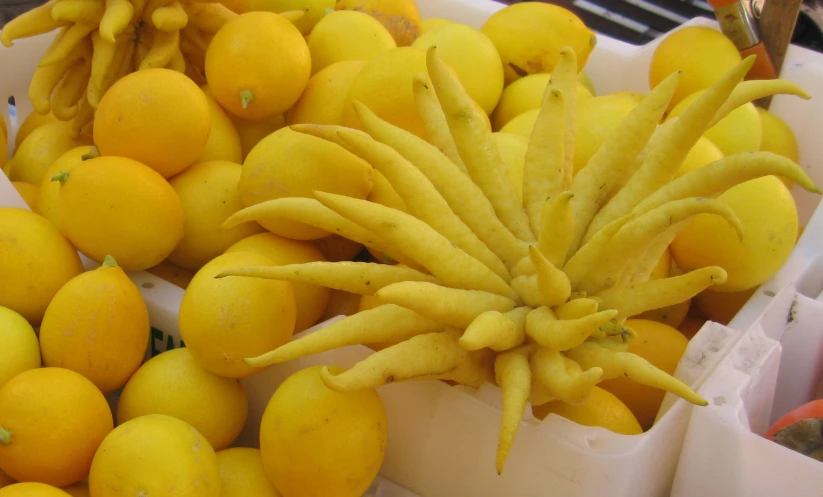 there are many different types of lemons in boxes