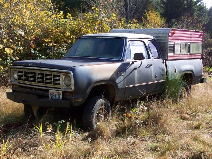 a truck is parked in the grass