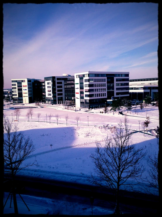 a snow covered area with buildings and trees in the background