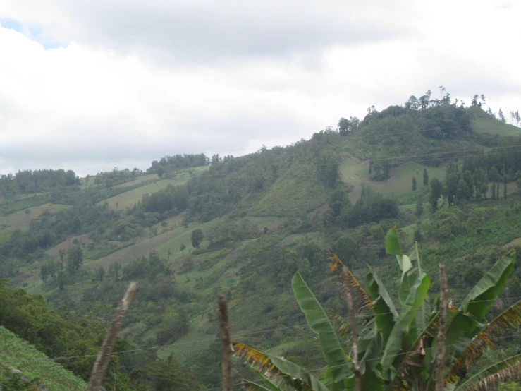 the large mountains in the background have lush green grass