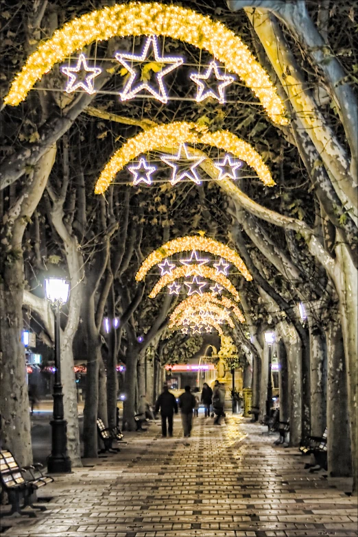 a group of people walking down a walkway with a lot of trees lined with lights