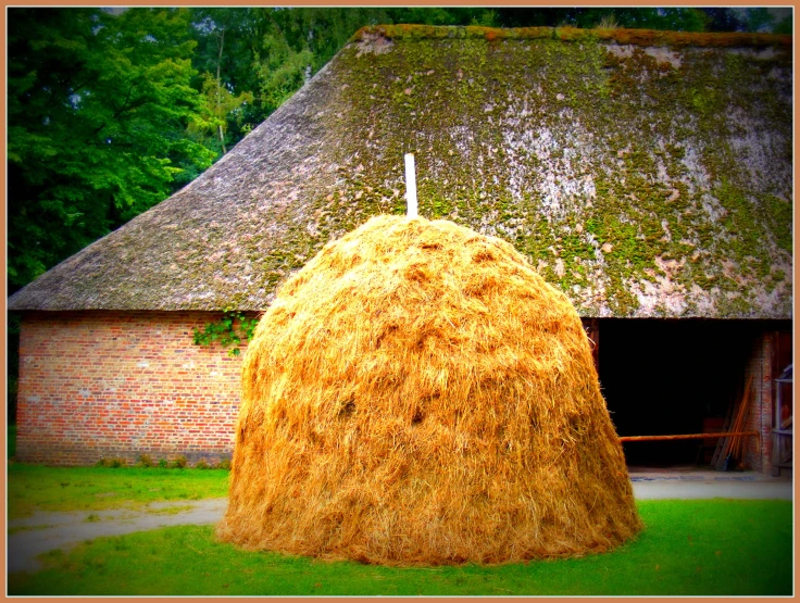 a large brown hay bail sitting in the middle of a yard