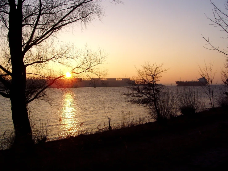 a tree is silhouetted against the setting sun near the water