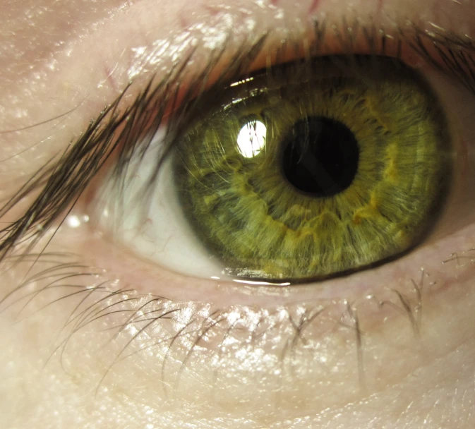green iris of a man's eye is reflected in it