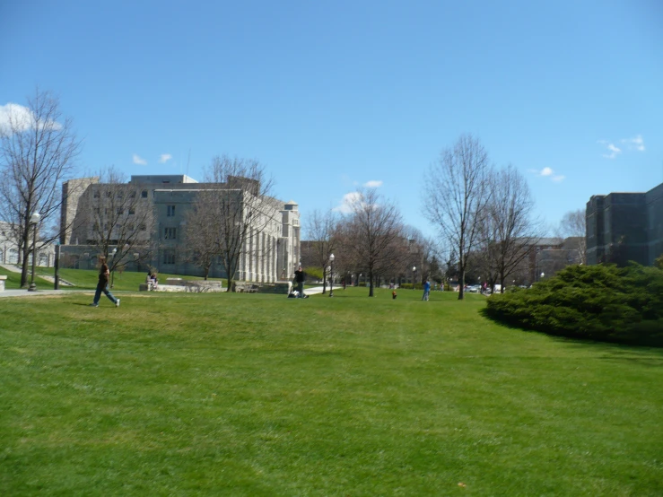 people in a grass field near buildings