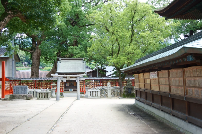 some benches are sitting in front of trees