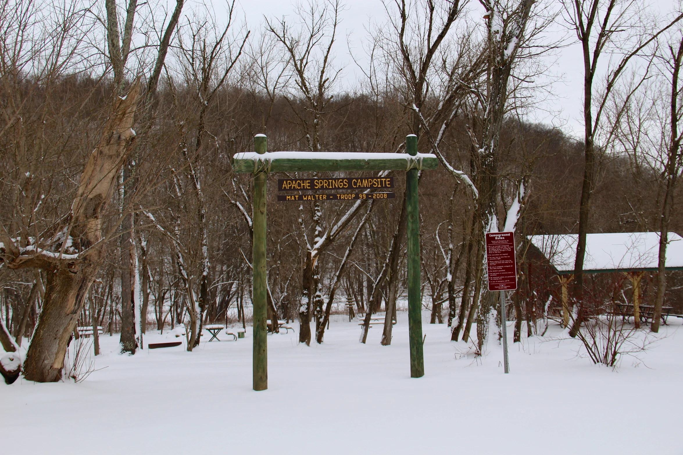 a small sign is next to some trees in the snow