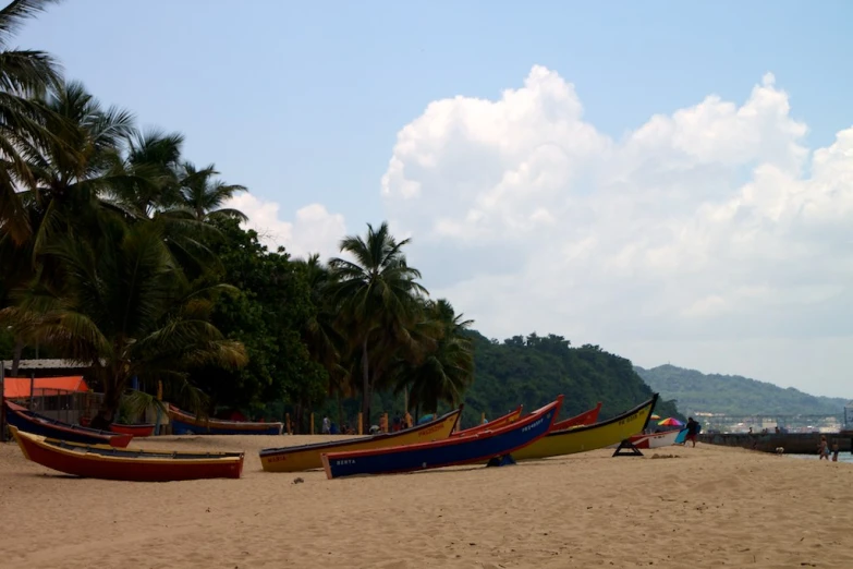 small boats parked along the beach in front of some trees