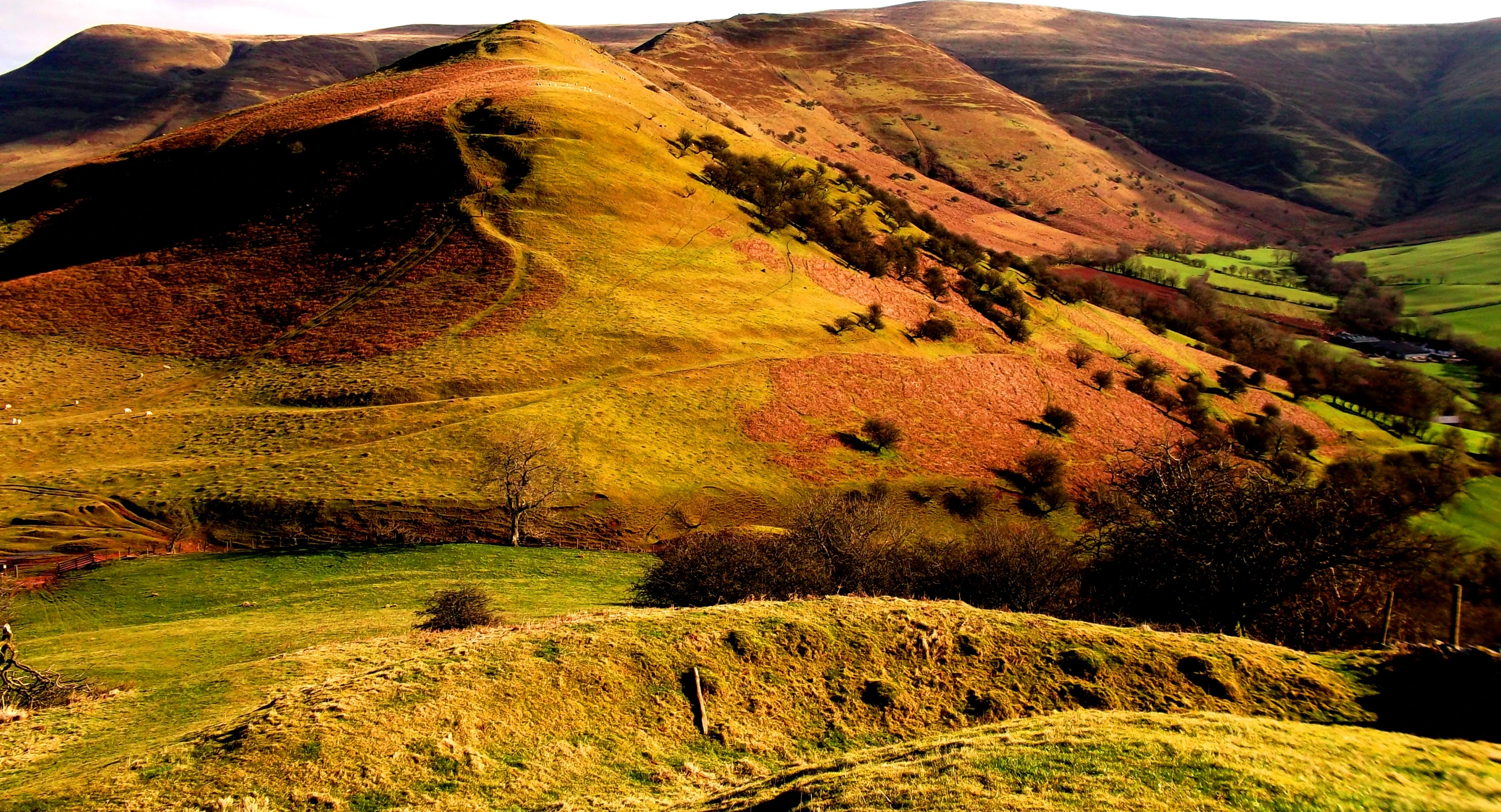 some mountain with trees on it and green grass