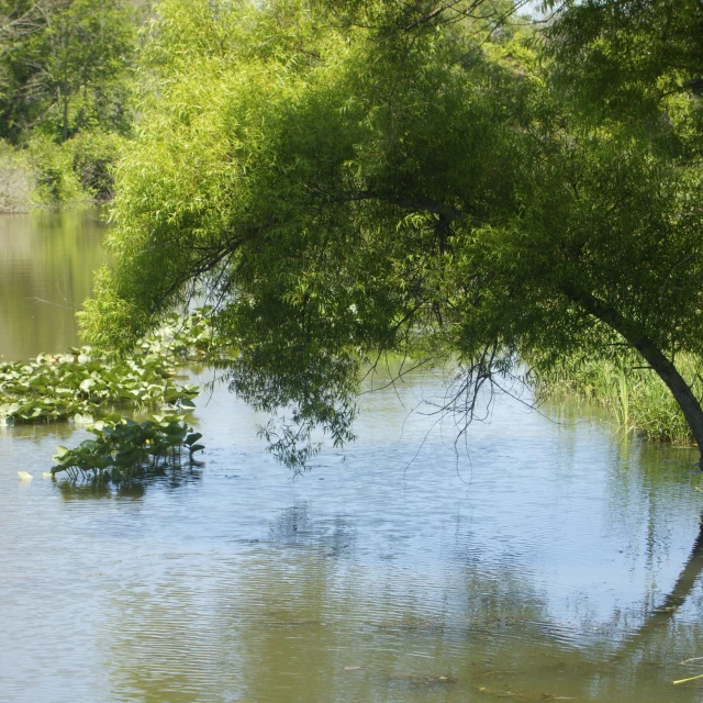 the view of a flooded river that is next to a road