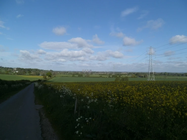 a road on the side of a field with yellow flowers