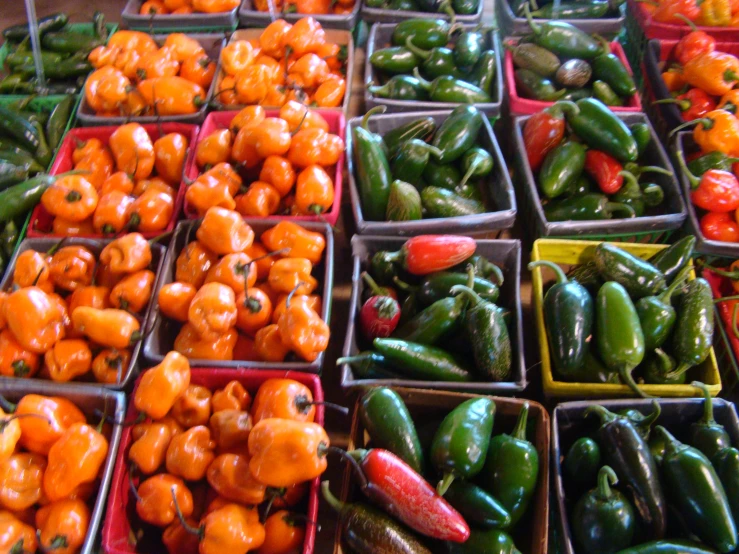 several bins filled with different types of peppers