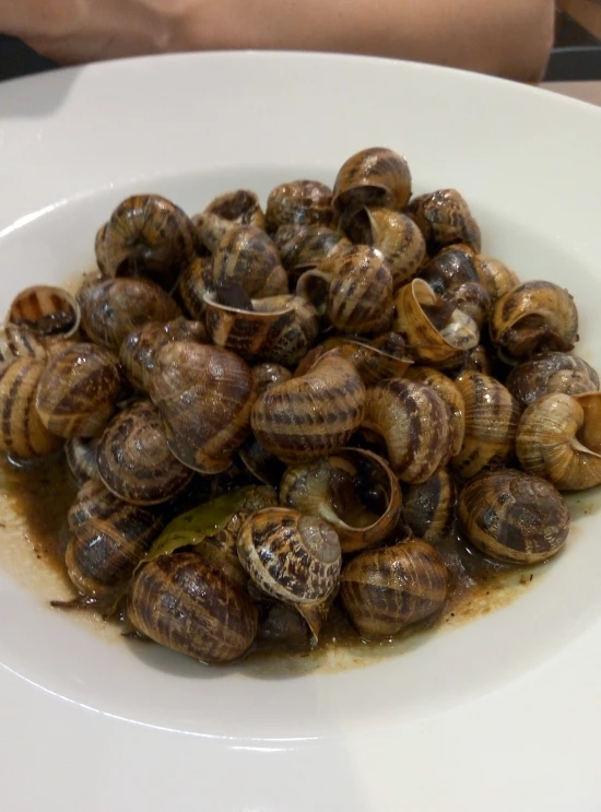 a white bowl full of snails with brown sauce