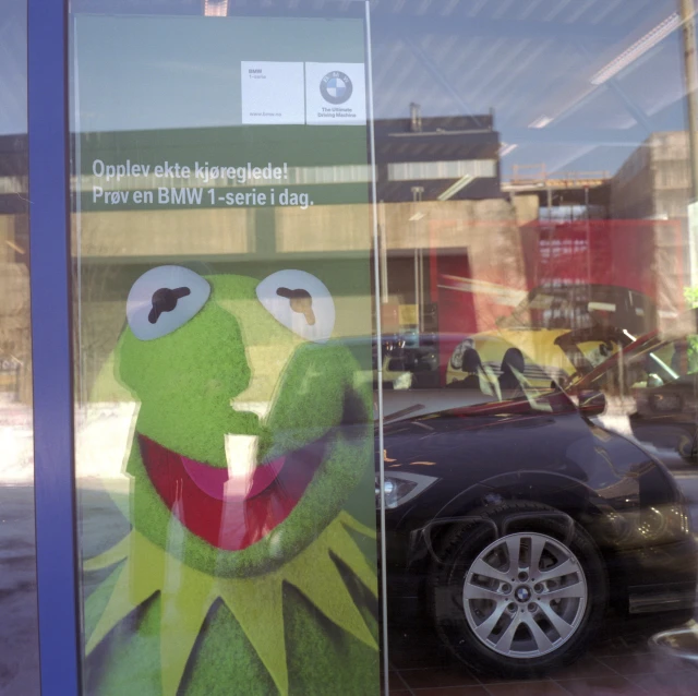 the kermie the frog puppet hanging out in the window