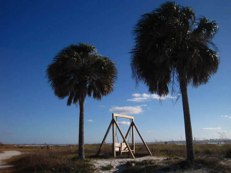 three trees on the ground and one of them has a ladder