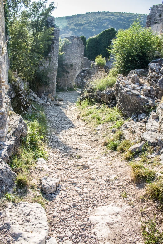 a path between large rocks and a forest