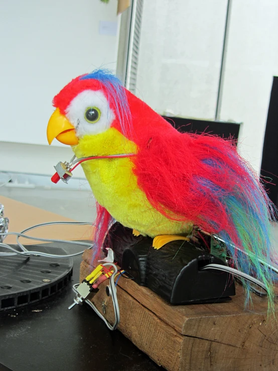 a parrot that is sitting on a table