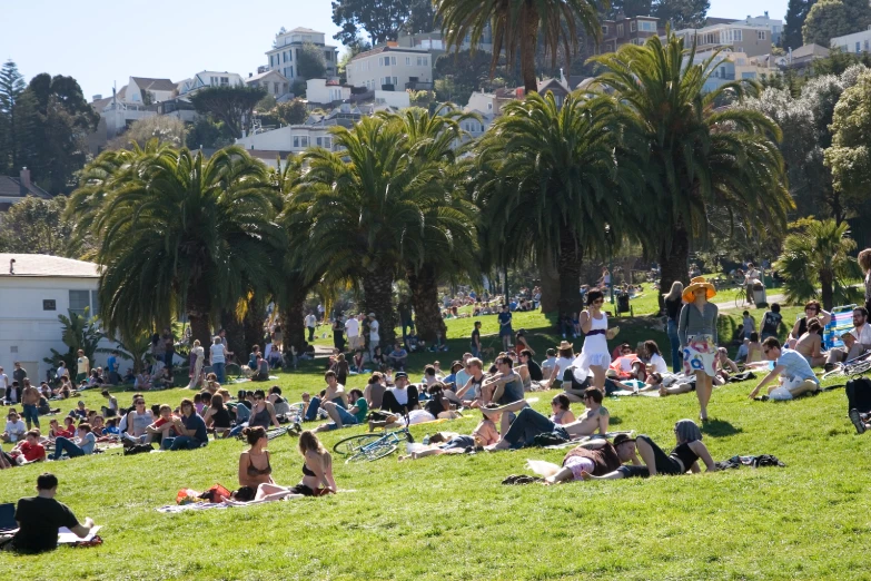 many people sitting around and standing in a grassy field