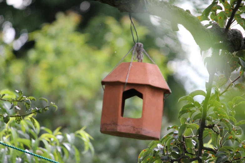 a bird feeder hanging from a tree nch