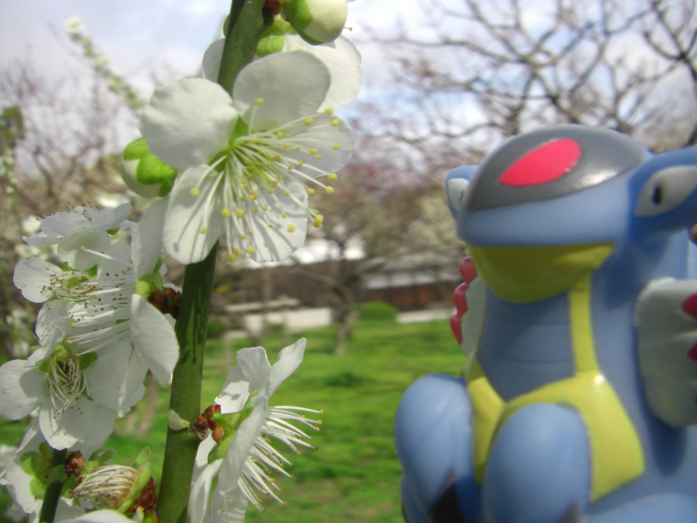 a flower with a cat statue in the foreground