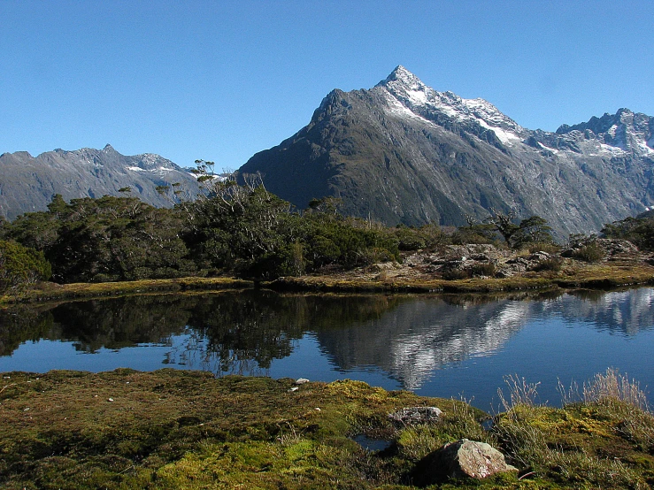 water surrounded by plants and trees next to mountains