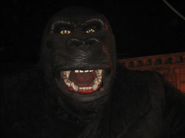 a man in an animal mask is shown