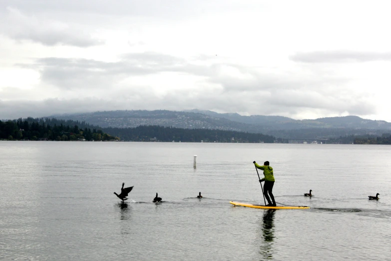 a man standing in the middle of a lake with his surf board