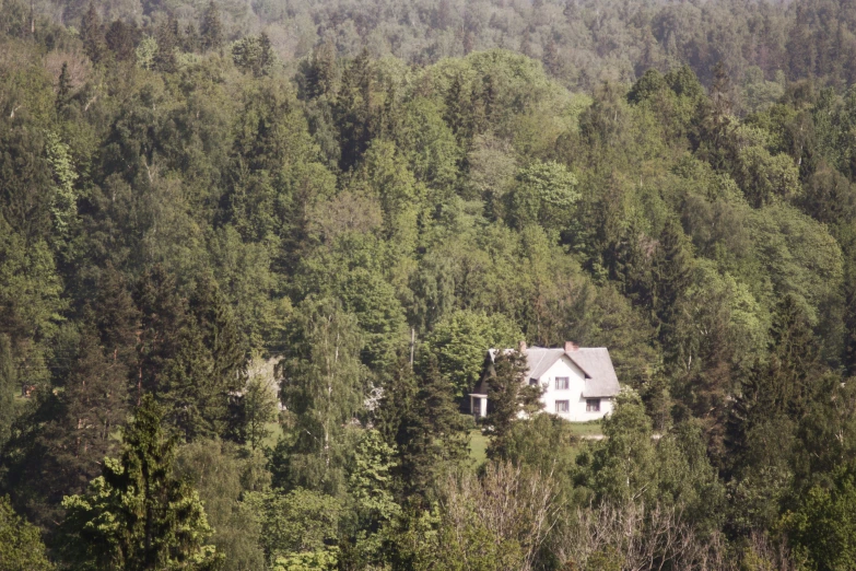 a house in the middle of a forest