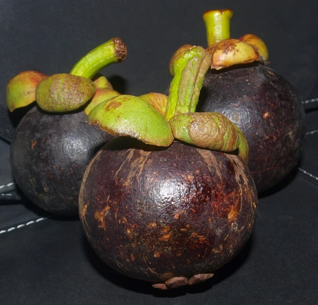 three coconuts that have fallen to the ground