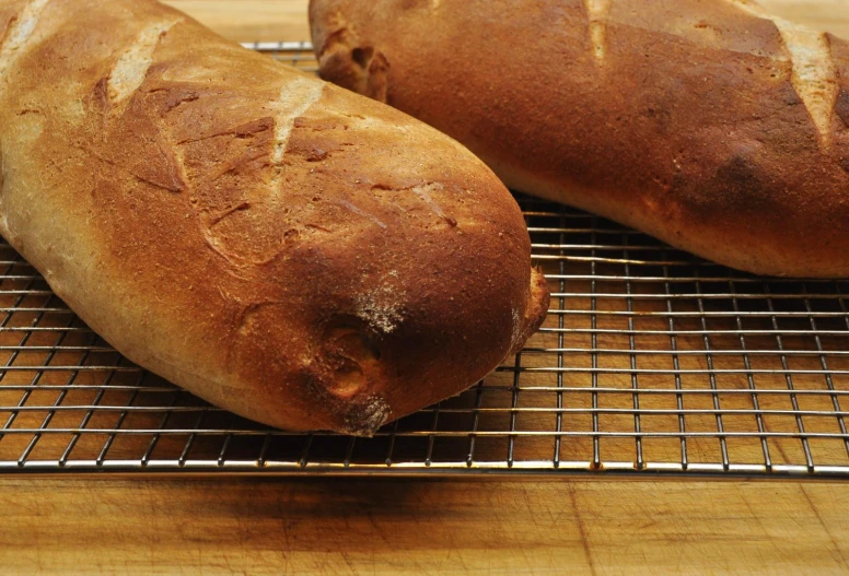 two brown loafs sit on a metal rack