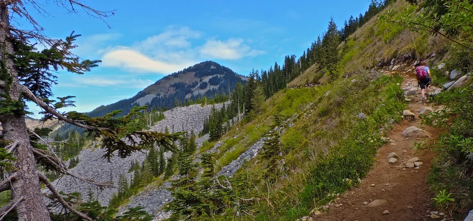 a trail going up the side of a mountain