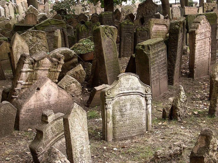 many old, white headstones and graves in a cemetery