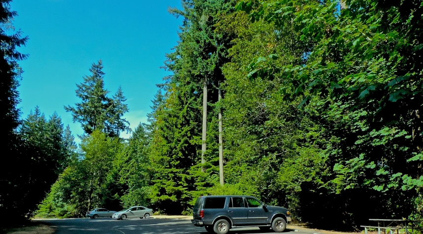 a very long and narrow parking lot next to trees