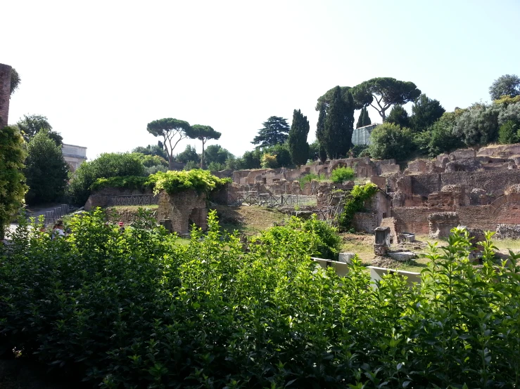 a tree covered area next to a city wall