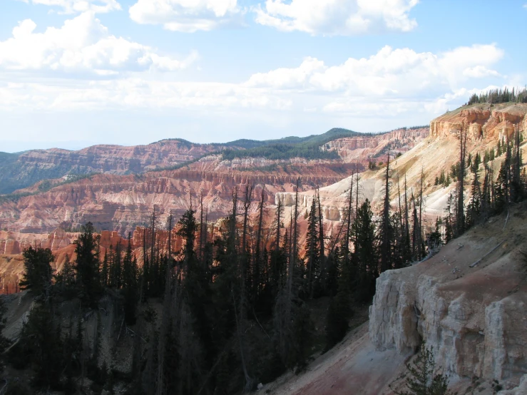 a scenic mountain view with many trees growing on top