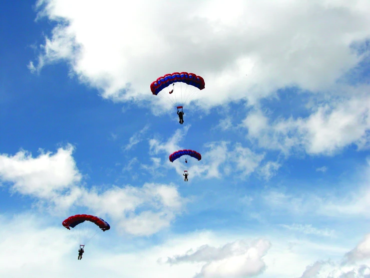 several large kites are being flown in the sky