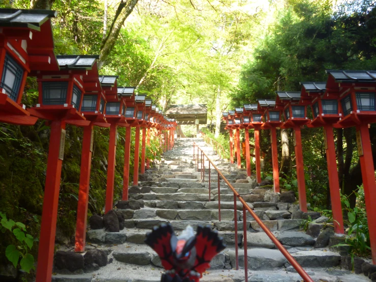 a couple of stairs that are going up some trees