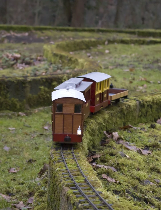 a model train traveling down train tracks in the grass