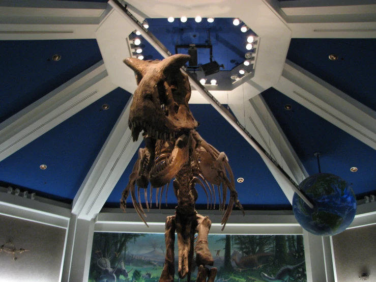a skeleton hanging in a museum with a clock mounted to the ceiling