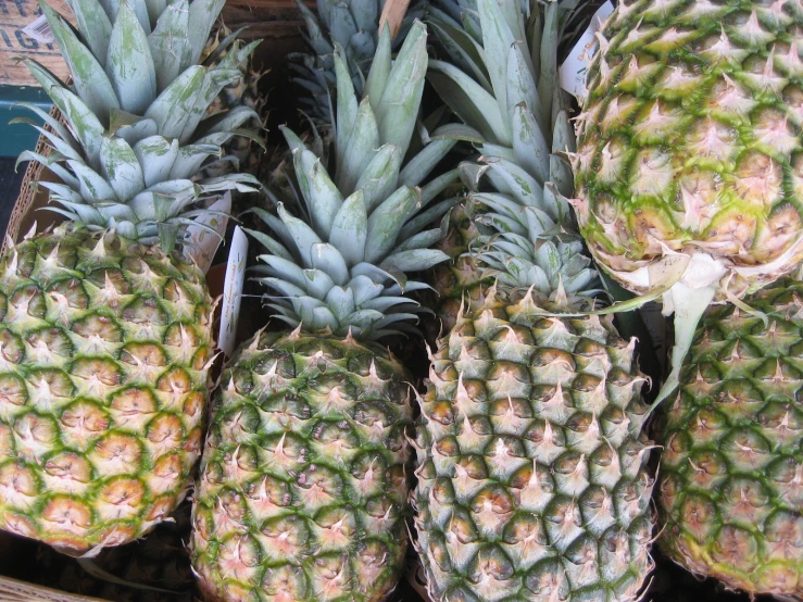 many pieces of pineapple on display together