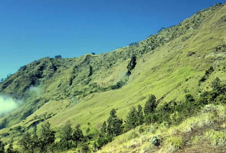 a view from the top of a hill with trees on it